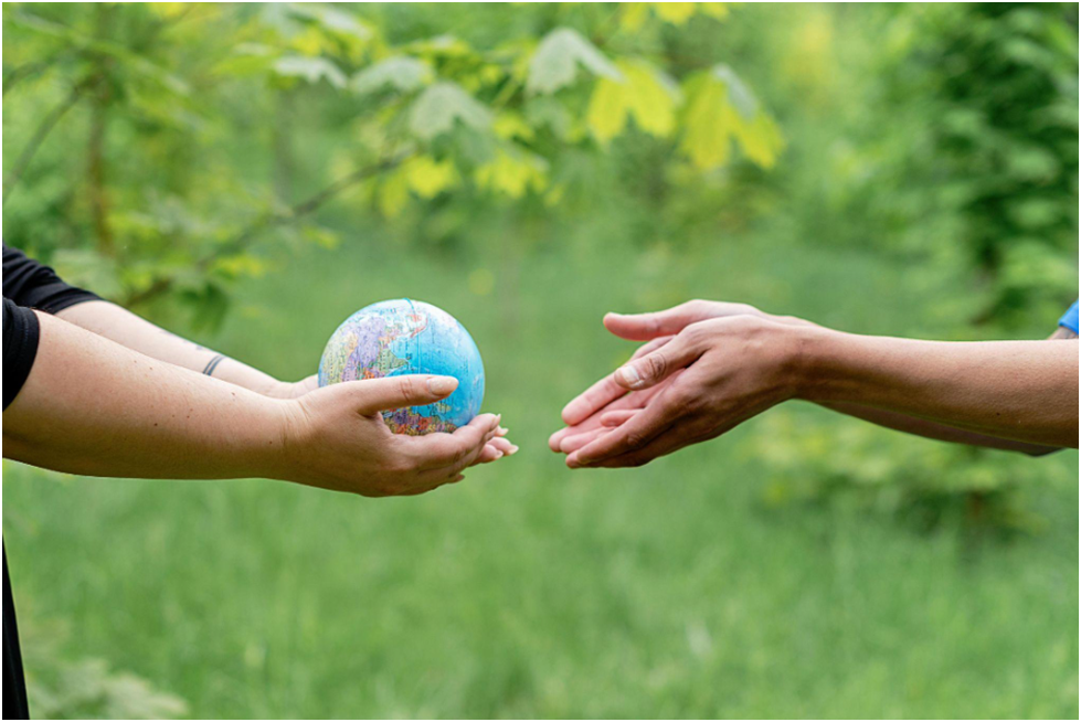 Hands cradling a miniature globe amidst a lush green forest backdrop, symbolizing environmental care and stewardship.