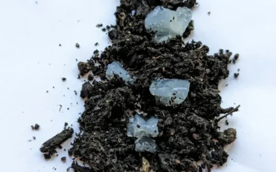Organic vs Synthetic Superabsorbent Polymers: EF Polymer vs Hidrokeeper