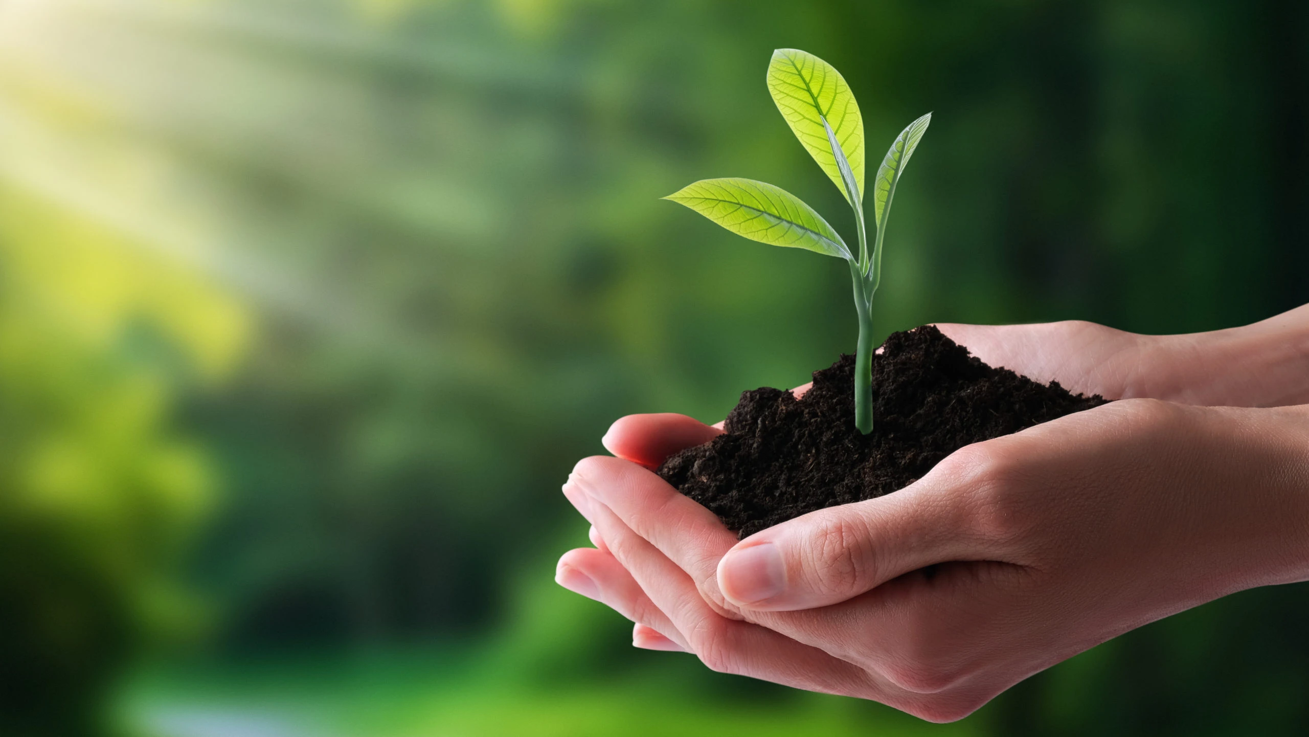 Ecology, protection of natural environment, earth day concept. Ecology, protection of natural environment, earth day concept.