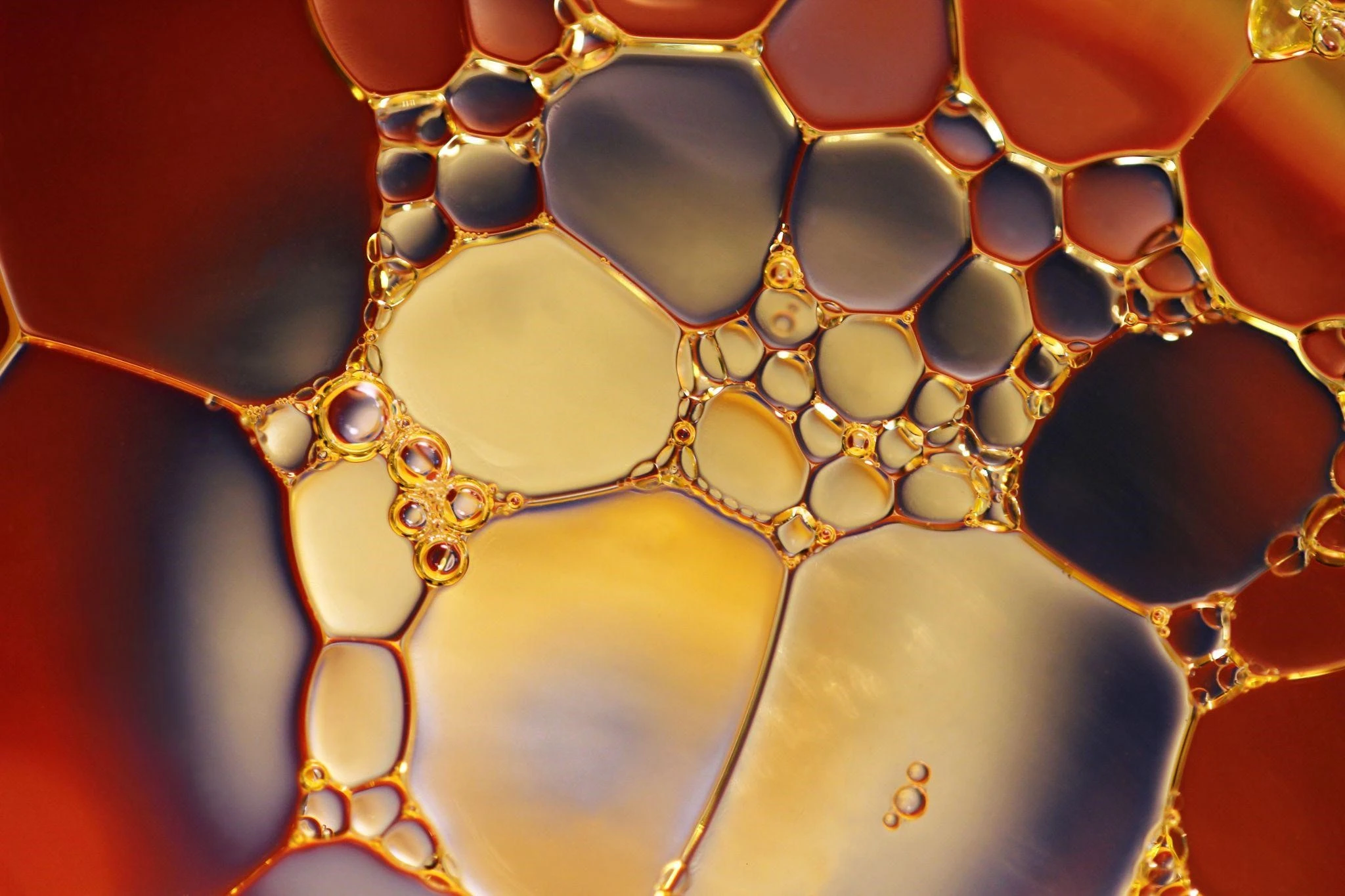 test A Deep Dive into Qemi's Foam-Control Products