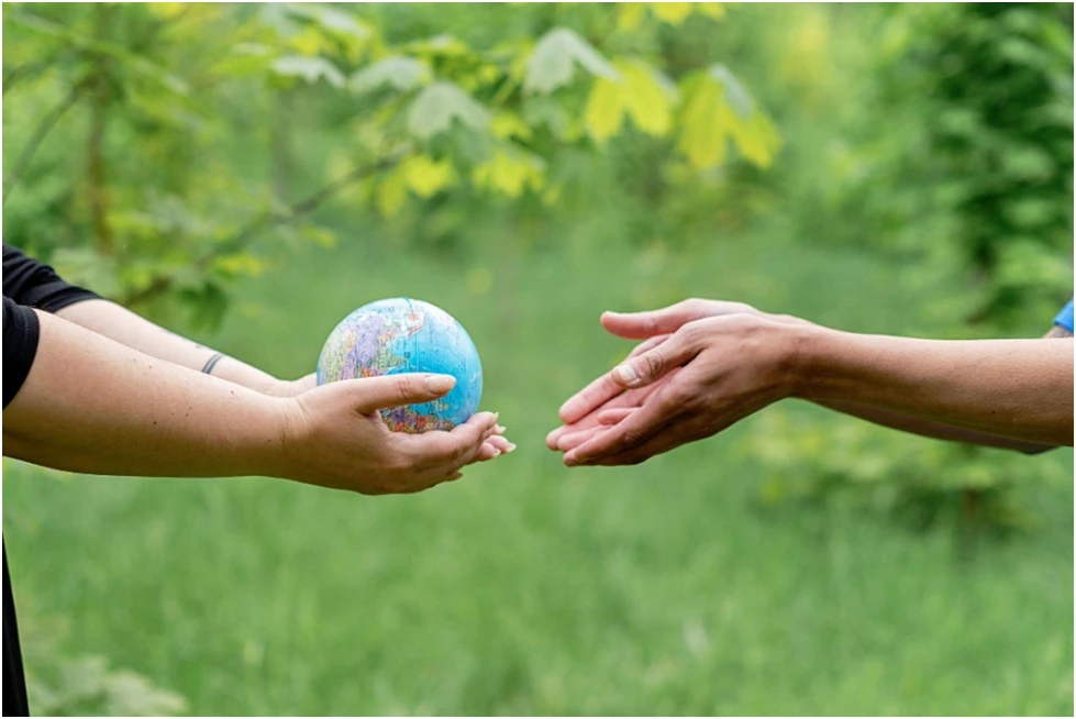 Hands cradling a miniature globe amidst a lush green forest backdrop, symbolizing environmental care and stewardship.