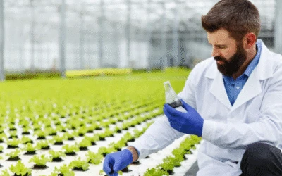 Agriculture Product Suppliers in the USA: How Does QEMI Ensure Quality and Sustainability?
