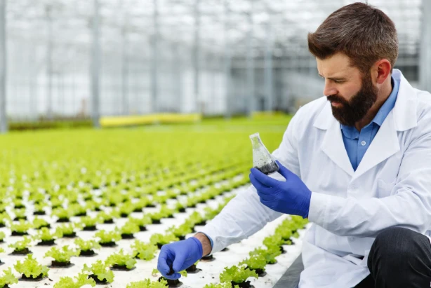 Agriculture Product Suppliers QEMI International agricultural scientist inspecting crops in a greenhouse, demonstrating quality control by a trusted agriculture product supplier.