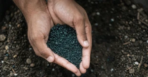 A close-up shot of two hands cupped together, holding a pile of dark, granular fertilizer or soil treatment material produced by Qemi International, Inc
